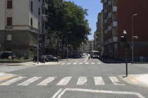 Sabaudia, provvedimento: interventi contro i cinghiali
